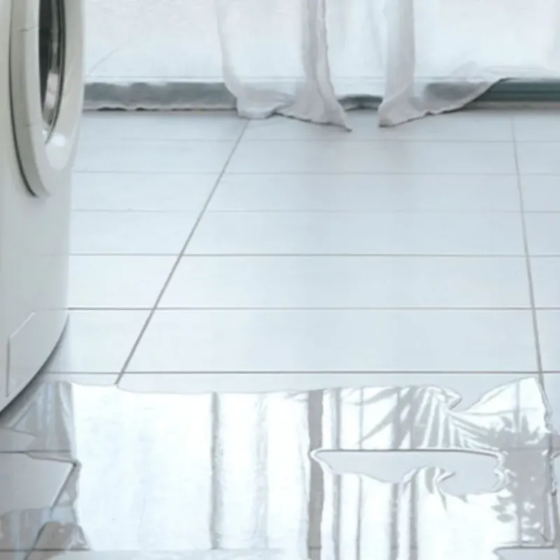 Appliance Leak Cleanup in Angelina County, TX