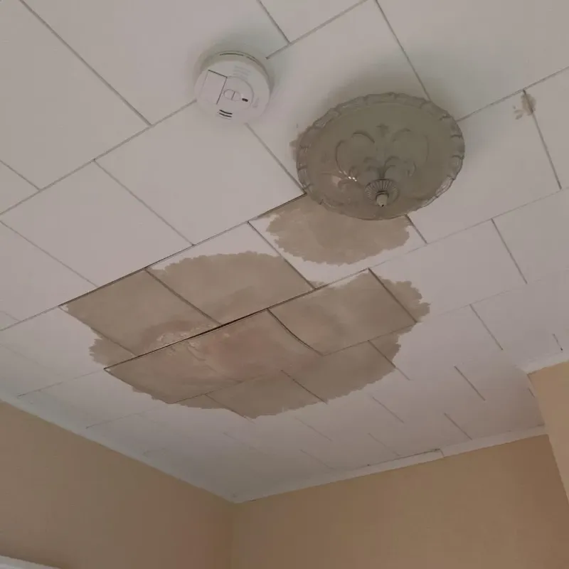 Ceiling Water Damage Repair in Angelina County, TX