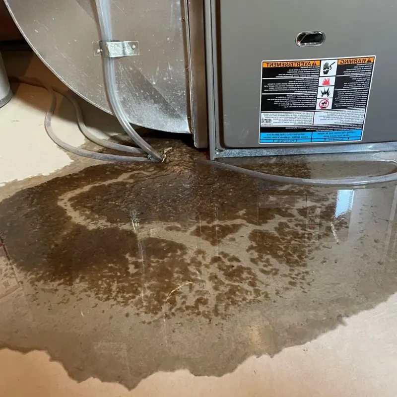 Pipe Burst and Leak Restoration in Angelina County, TX