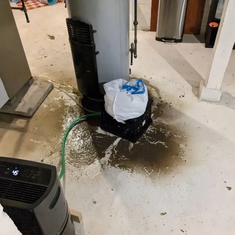 Sewage Backup Cleanup Service in Angelina County, TX